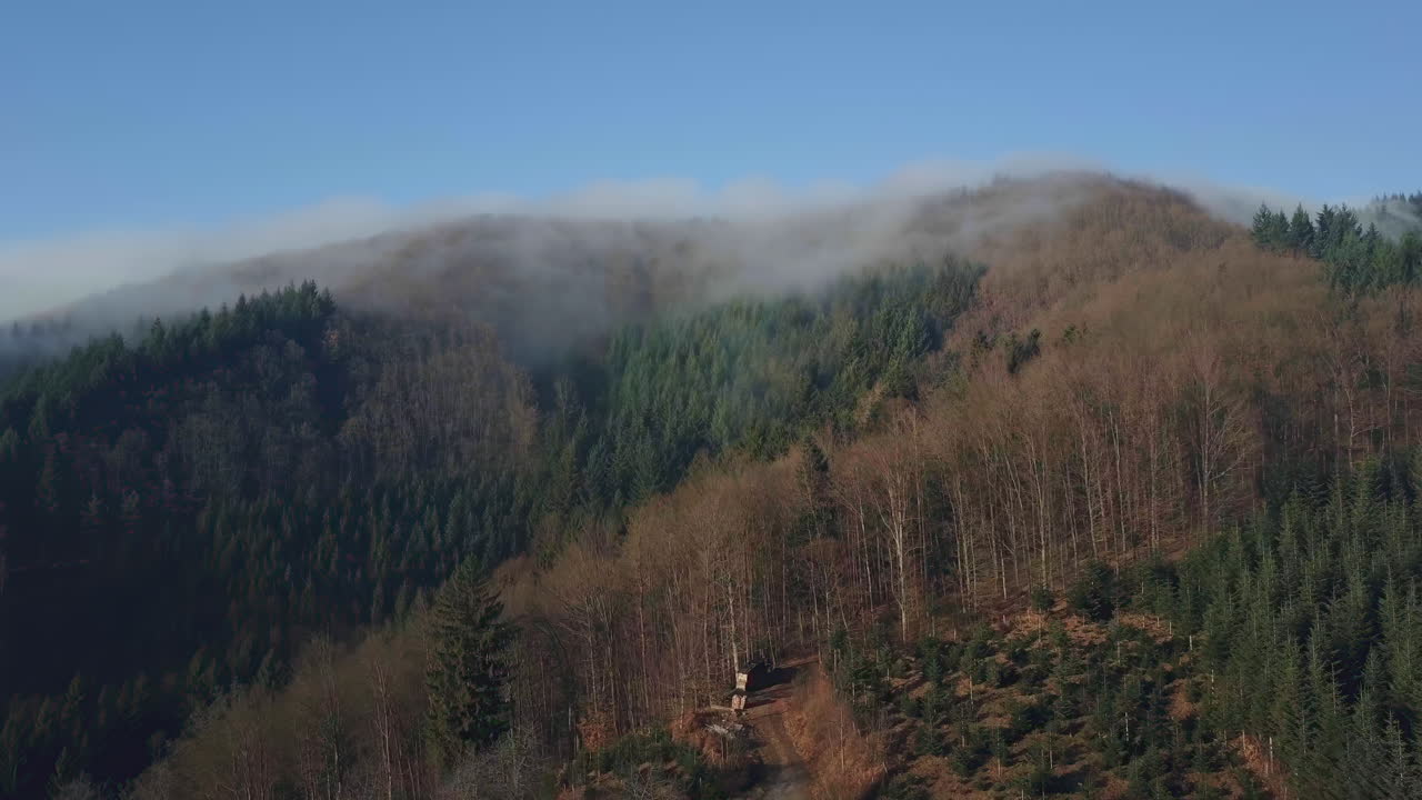 Forested hill covered with drifting fog. The sky is clear and blue on a sunny autumn day. Mystical atmosphere.