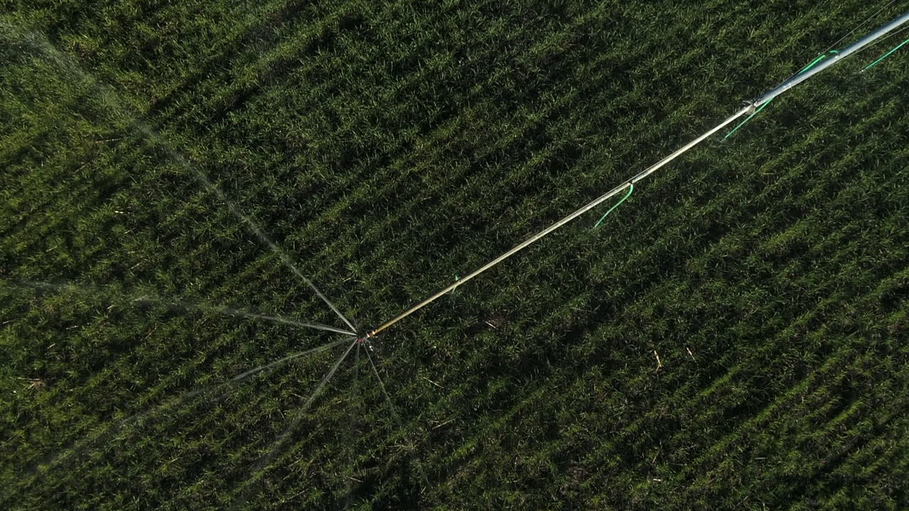 Diagonaalinen yläkuva sadettimesta vihreän vehnäpellon yllä.