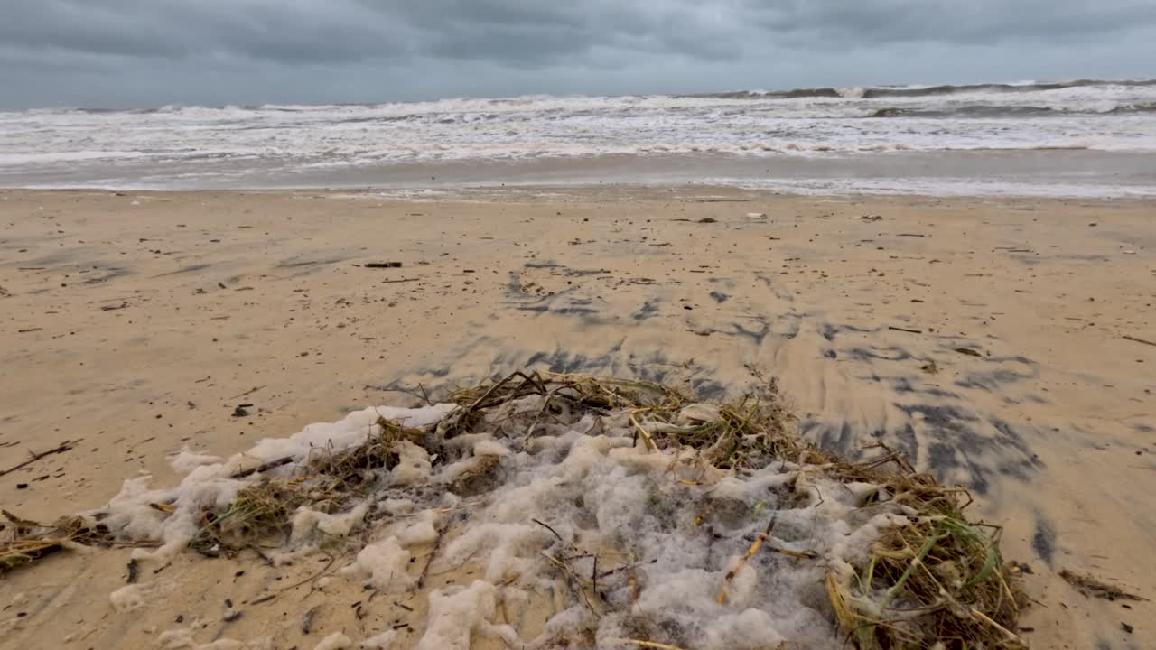 바다의 거품과 잔해가 있는 폭풍우가 많은 해변 장면은 구름이 가득한 하늘 아래에서 촬영되어 자연의 원시적인 힘을 강조합니다.