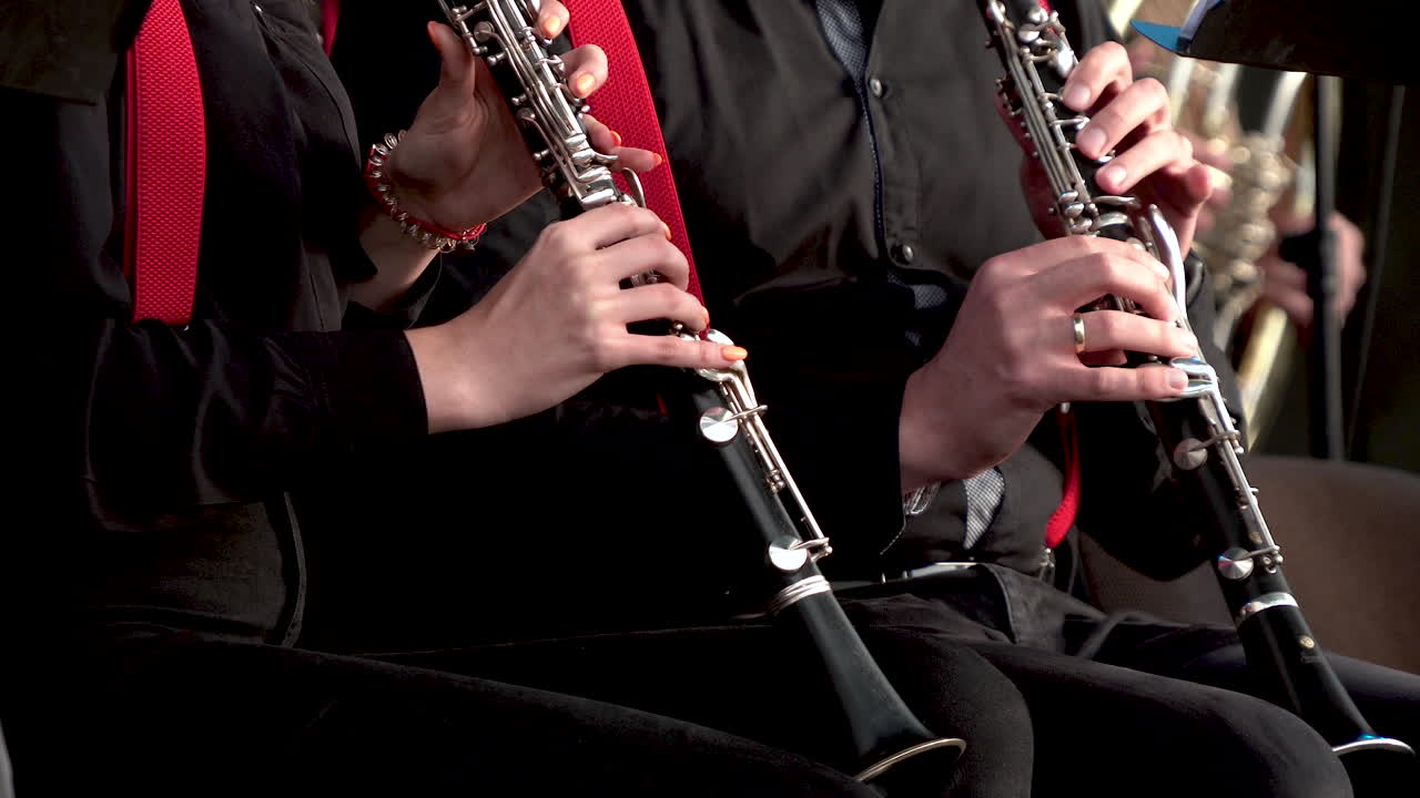 클라리넷을 연주하는 오케스트라의 음악가들의 자른 이미지