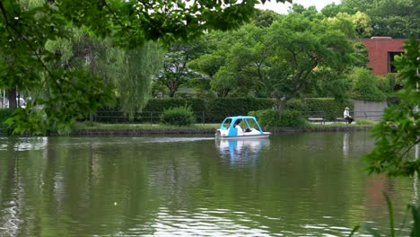 在日本東京的沙庫吉公園 (shakuji park),在夏天,很常見有人租用和騎乘天<unk>形船