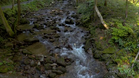 Ruhige-Landschaft-Mit-Bach,-Der-Durch-Grünen-Wald-In-Bistriski-Vintgar-Slowenien-Fließt
