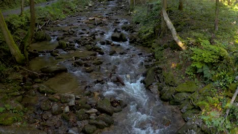 Quiet-landscape-with-stream-flowing-through-green-forest-at-Bistriski-Vintgar-Slovenia