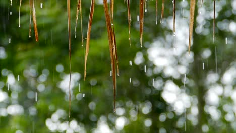 heavy rain on water shooting with high speed camera