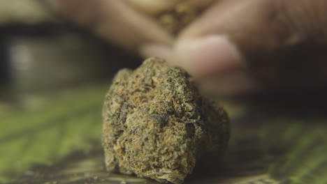 a cannabis bud sits while a black man is opening up a cigar to use the wrapper to roll a marijuana cigarette