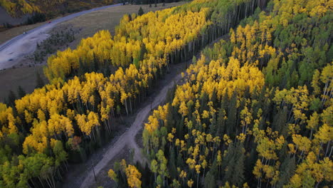 Aerial-View-of-Fall-Colors-and-Countryside-Road-in-Landscape-of-Colorado-USA,-Aspen-and-Conifer-Trees