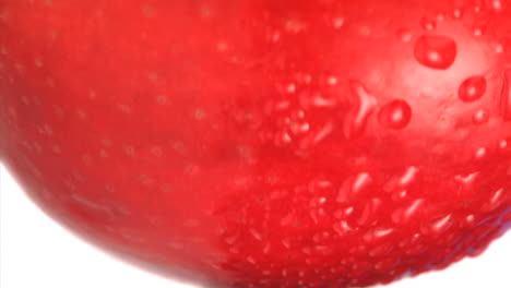 manzana roja húmeda girando