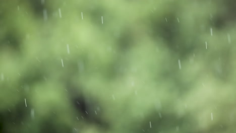 slow motion rain falls in front of a blurred green background - copy space plate