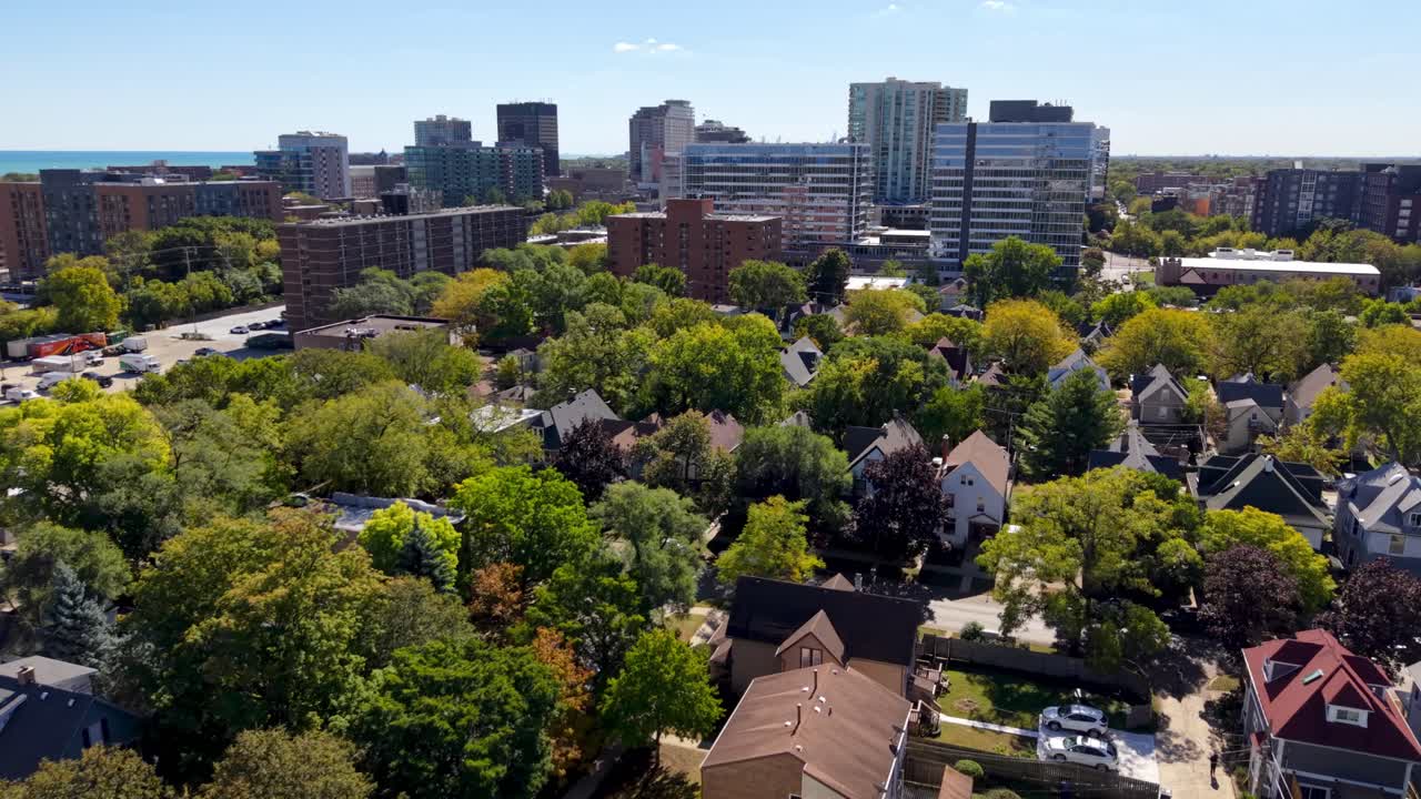Ripresa aerea dall'alto di un albero con carrellata su Evanston, Illinois