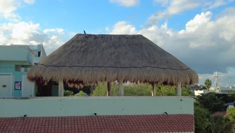 Un-Hermoso-Pájaro-Posado-En-El-Techo-De-Una-Cabaña-Acogedora,-Con-Sus-Plumas-Agitadas-Por-El-Viento