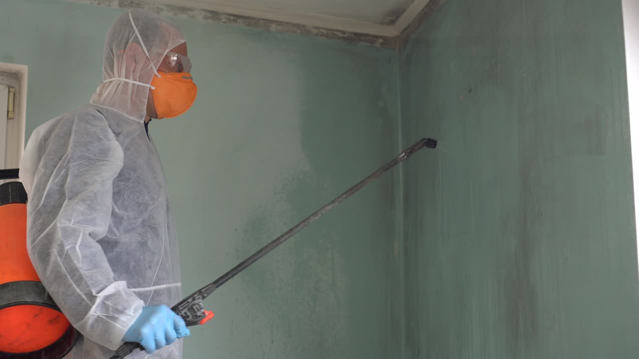 Mold on walls surfaces at the house. Black mold removal and mold remediation company. Spray, Disinfection and Deodorization Service