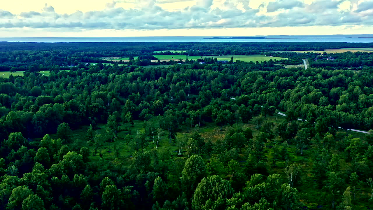 Summer in Estonia, Forest with the Sea in the Background, Drone View - Panning Shot