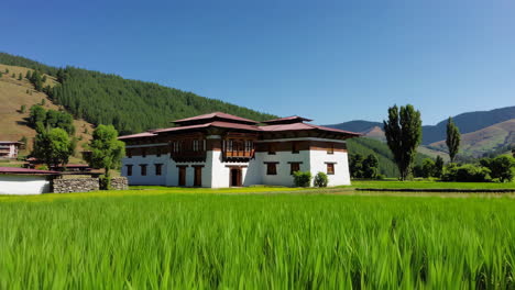 traditional bhutanese monastery in rice paddy fields