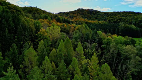 Aerial-shot-capturing-the-autumn-trees-in-a-patch-of-dense-forest-panning-left-to-right-in-Attersee-Austria