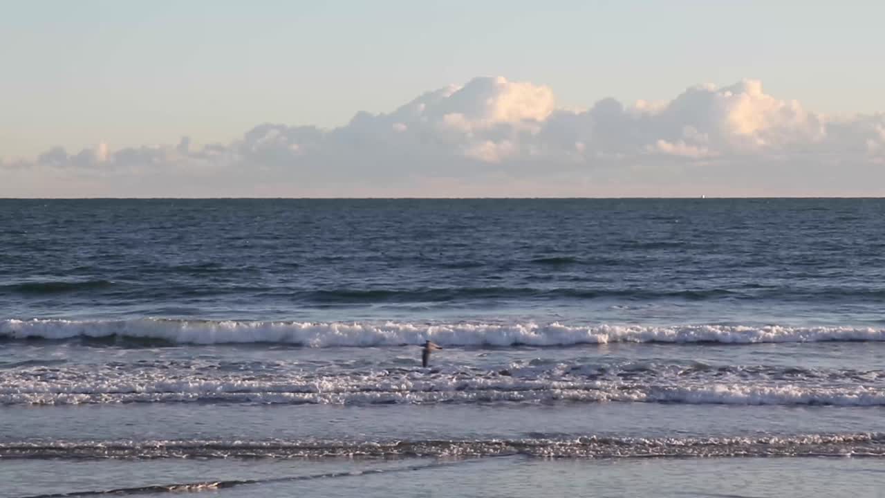 새들이 부드럽게 날고 구름이 수평선에 머물면서 대서양의 파도가 모래사장에 충돌합니다.