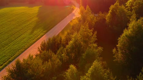 aerial drone view of forest with a meadow next to a dirt road footpath under sunset sunlight