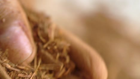 macro shot of madder powder, natural plant root used for organic textile dye