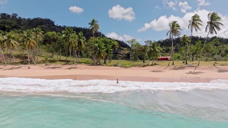 Picturesque-Caribbean-beach-fringed-with-palms-swaying-in-ocean-breeze