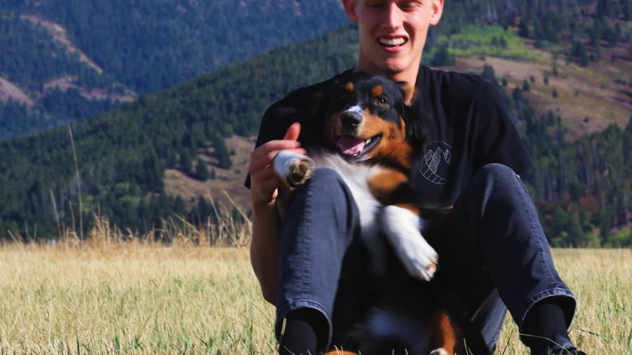bozeman montana 4k에서 주인과 노는 오스트레일리아 양치기
