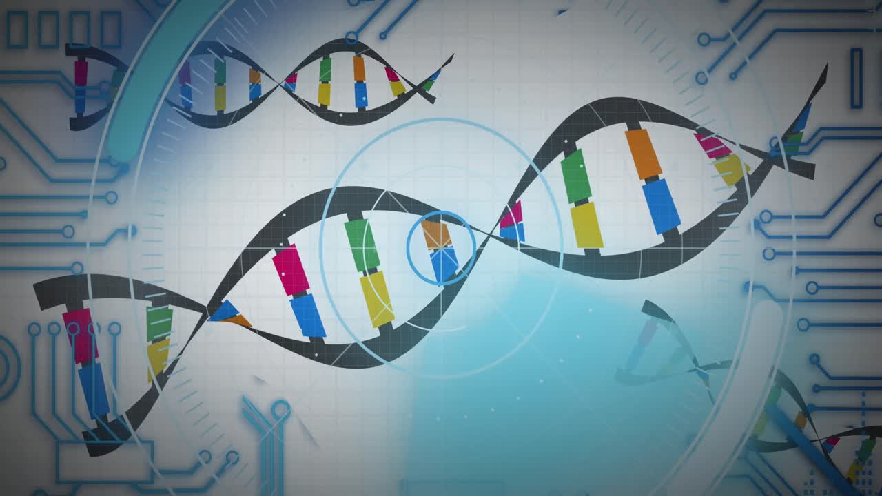 animación del procesamiento de datos médicos y el zócalo del procesador sobre un fondo blanco