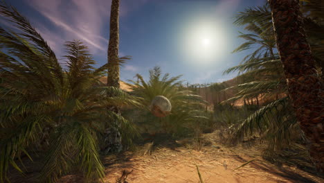 oasis del desierto con palmeras