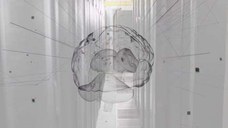 animación de la red de conexiones y cerebro sobre la sala de servidores