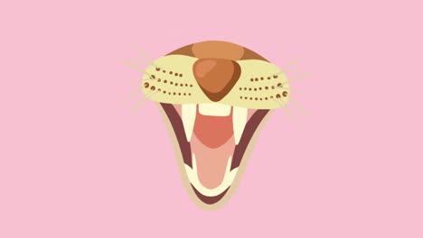 Animation-of-muzzle-of-wild-dog-or-wolf-with-mouth-open,-on-pink-background