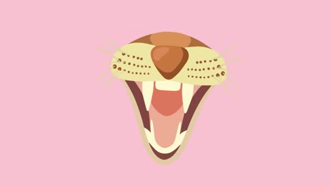 animación del hocico de un perro salvaje o un lobo con la boca abierta, sobre fondo rosa