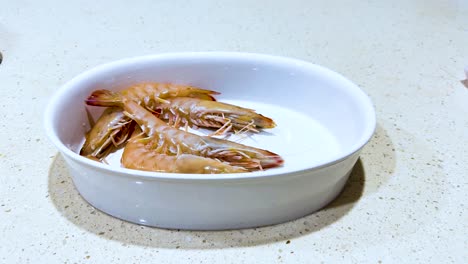 prawns placed in a dish on a counter