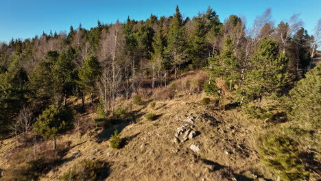 Draufsicht-Auf-Die-Ruhigen-Ausblicke-Der-Pyrenäen-In-Der-Nähe-Von-Amélie-les-Bains.