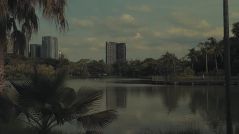 mirando el lago en el parque