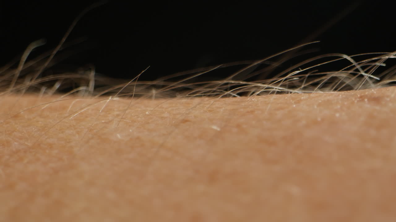 Man hand skin texture close-up, hair. Arm surface macro shooting. Body and healthcare, hygiene and medicine concept.