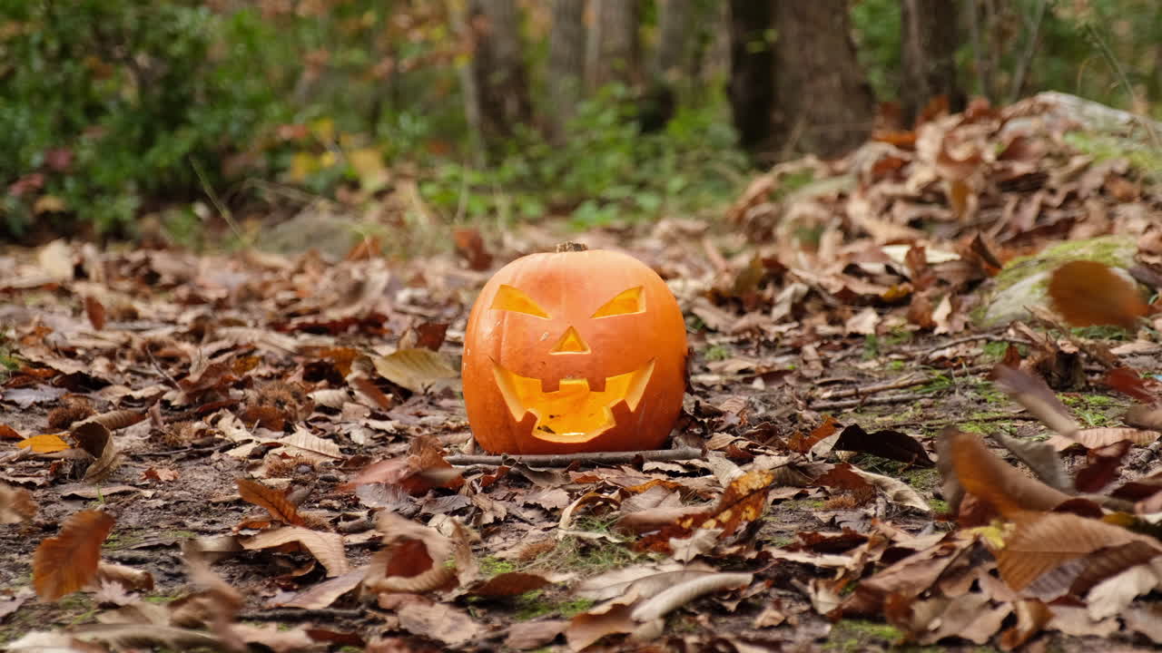 calabaza de terror malvado sonriente de halloween y hojas movidas por el viento en el bosque de otoño