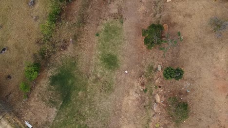 Aerial-top-view-of-two-men-walking-on-dry-farmlands-with-some-trees-around