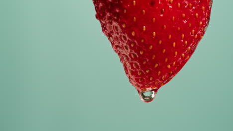 close-up of a strawberry with a water drop