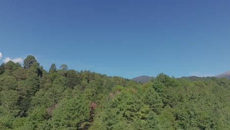 Drone-rising-above-treeline-to-reveal-stratovolcano-popocatepetl-mexico,-smoke-coming-off-top