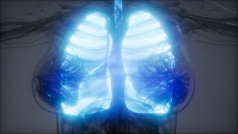 human lungs radiology exam