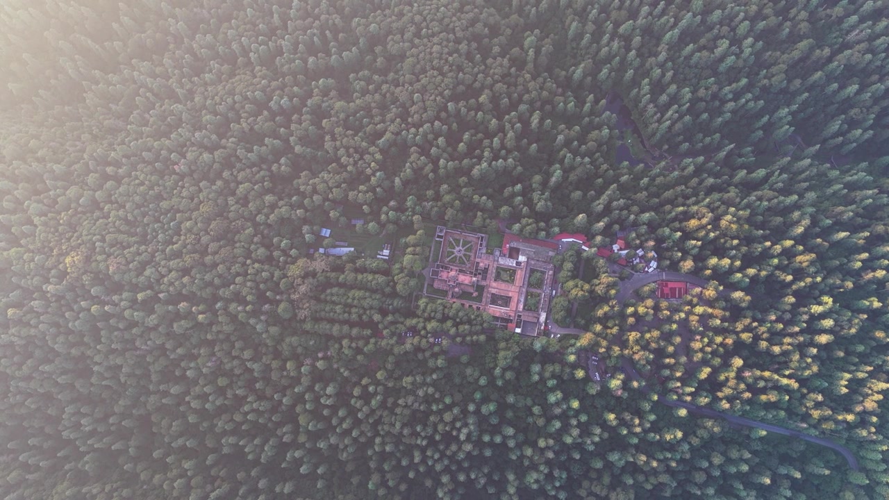 Vidéo du soleil matinal dans la forêt de Mexico.