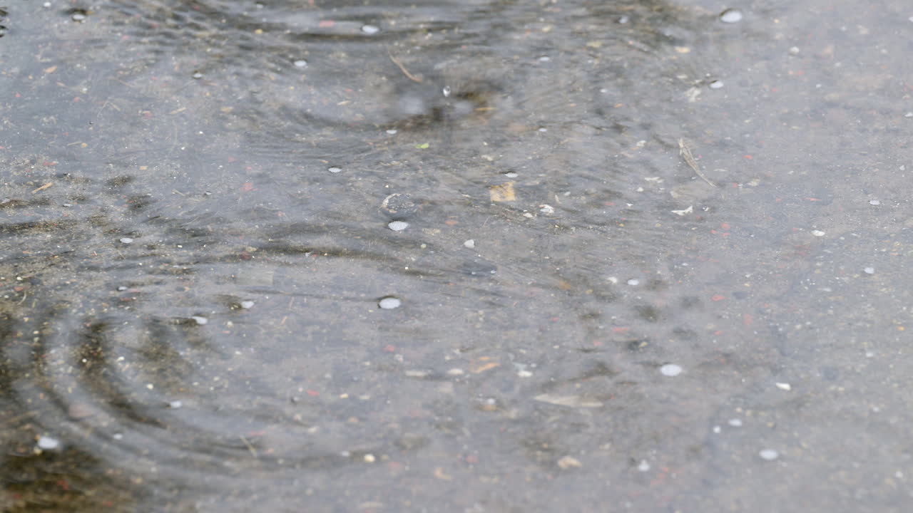 콘크리트 표면에 빗방울