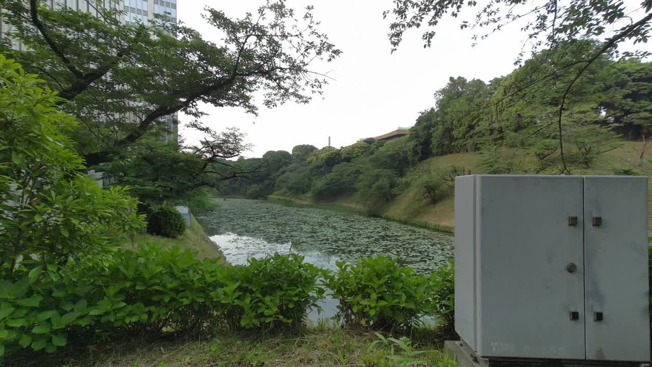 도쿄 치도리가푸치 (tokyo chidorigafuchi) 2022년