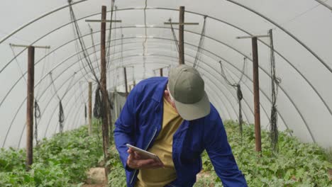 Mature-man-working-on-farm