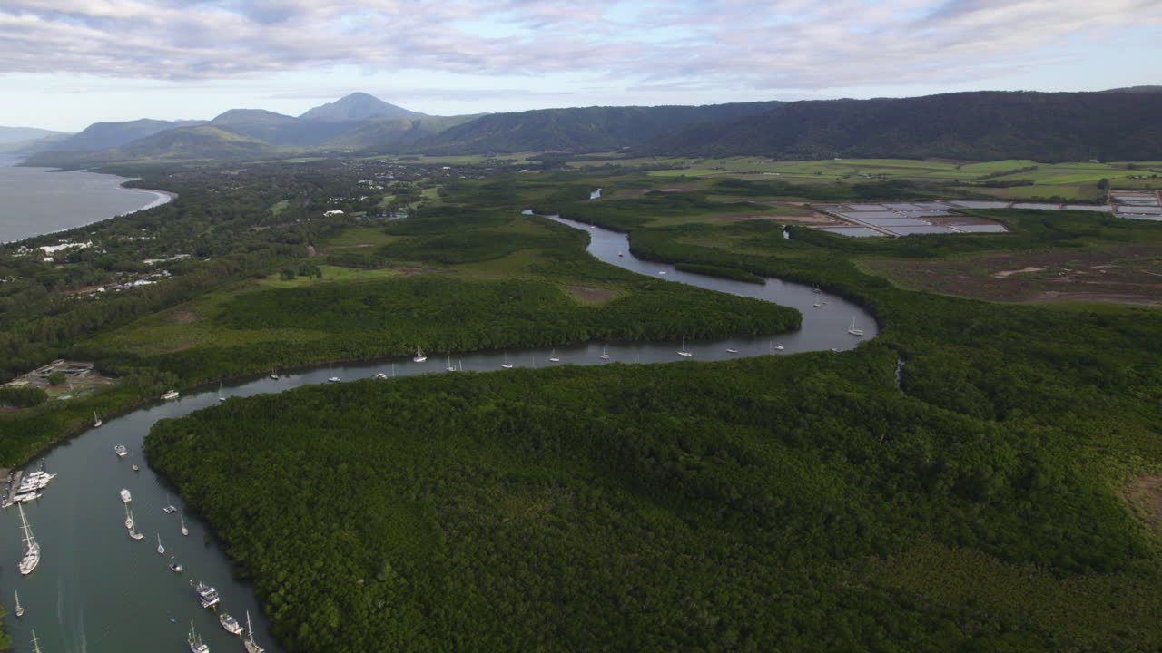 Aerial view of a river flowing through mangroves and mountains