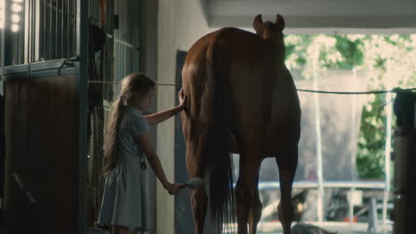 Young girl grooming a horse in a stable