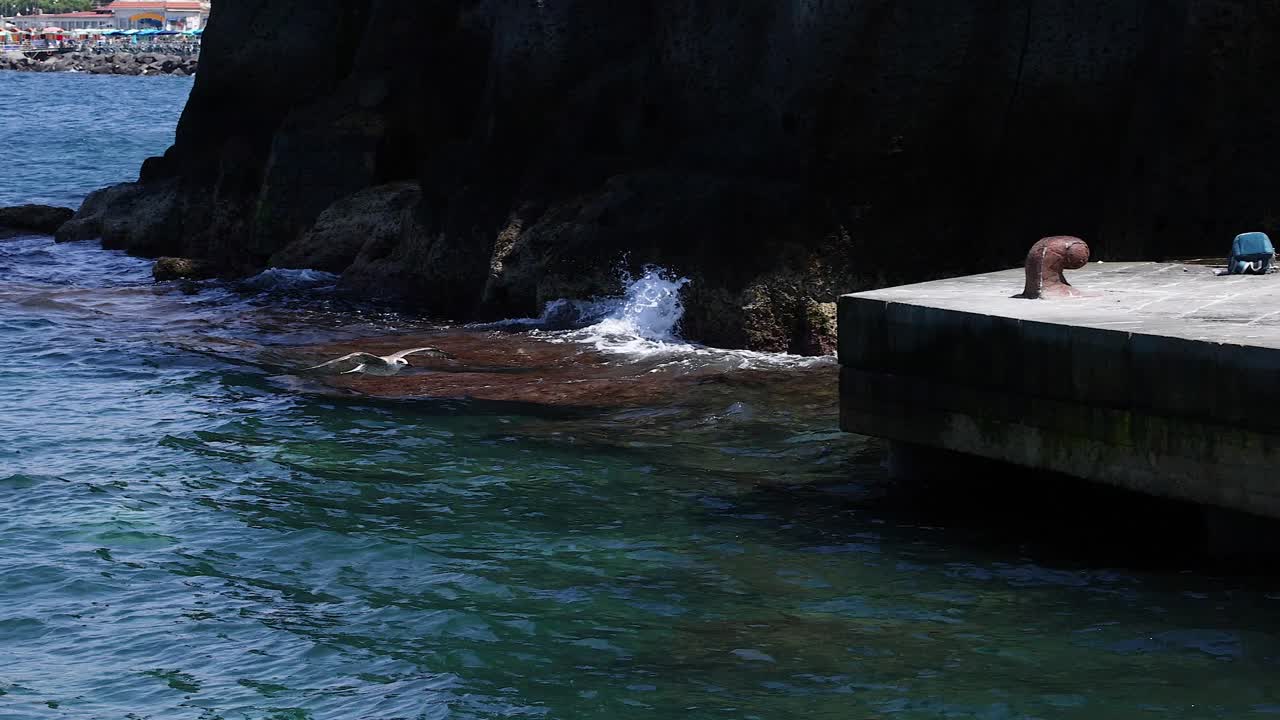 pájaro volando sobre el océano, gente en el muelle