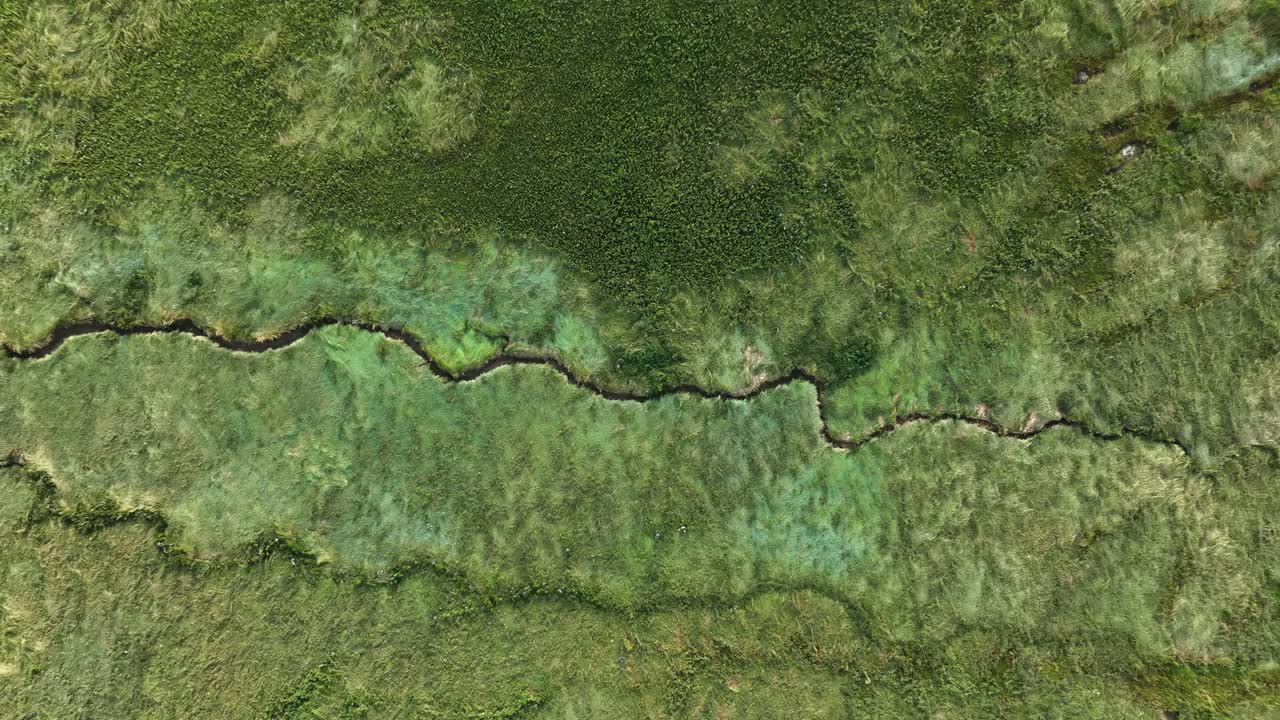 amplia toma aérea de un arroyo que atraviesa