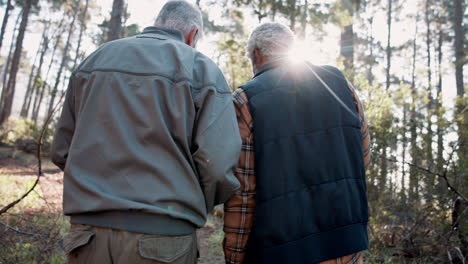 dos hombres mayores caminando en el bosque.
