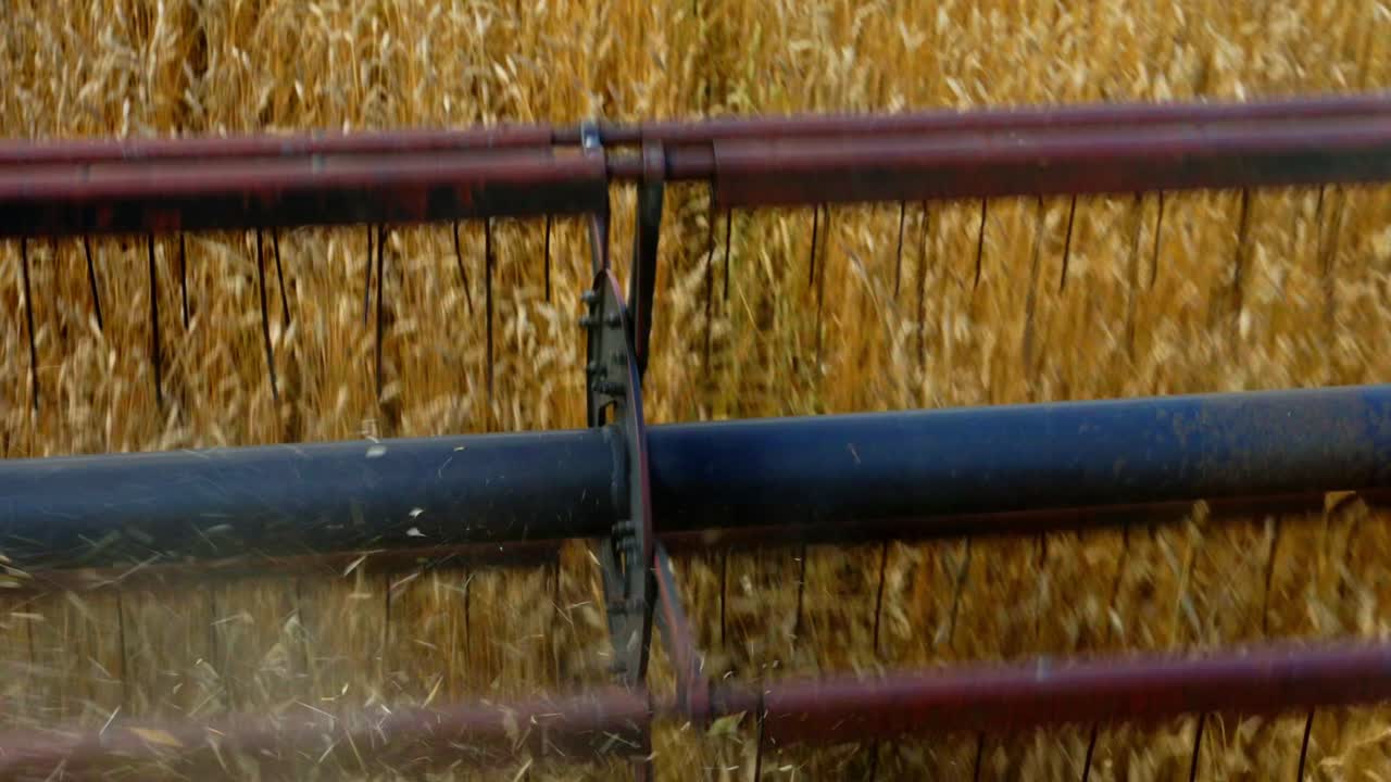 cosechadora combinada cosechando el campo de trigo