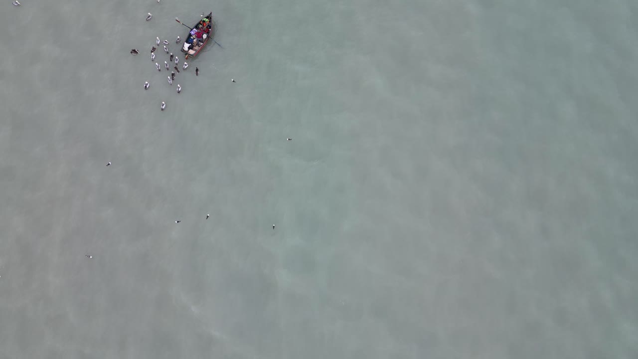 와 청록색 바다의 공중 birdeye 샷