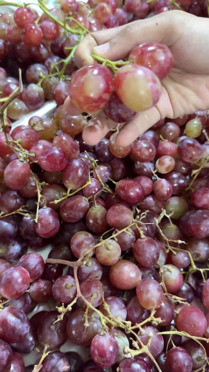Uma mão escolhendo uvas vermelhas frescas de uma pilha