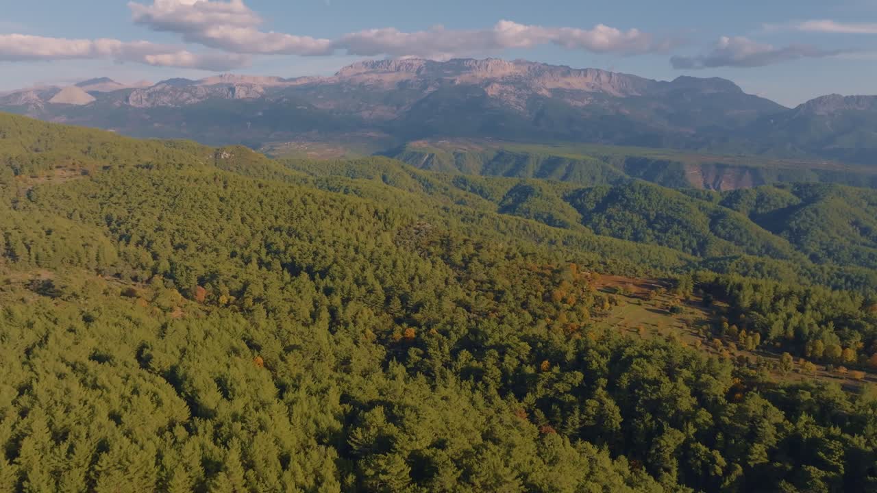 vista aérea de un paisaje forestal montañoso